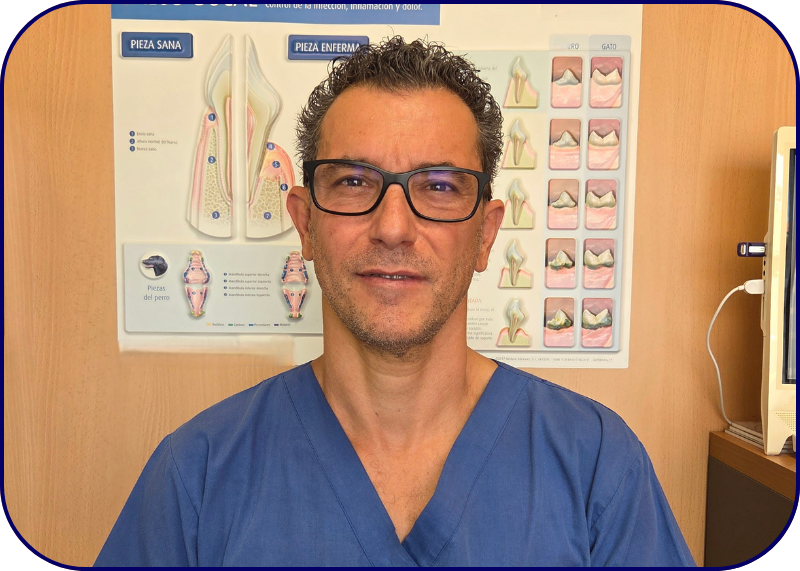 equipo veterinario Francisco josé arnedo veterinaria leucanis