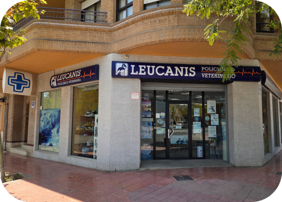 clínica veterinaria en san vicente del raspeig instalaciones fachada