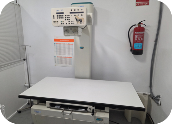 clínica veterinaria en san vicente del raspeig instalaciones diagnóstico por imagen