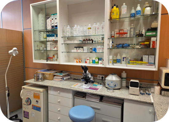 clínica veterinaria en san vicente del raspeig instalaciones laboratorio