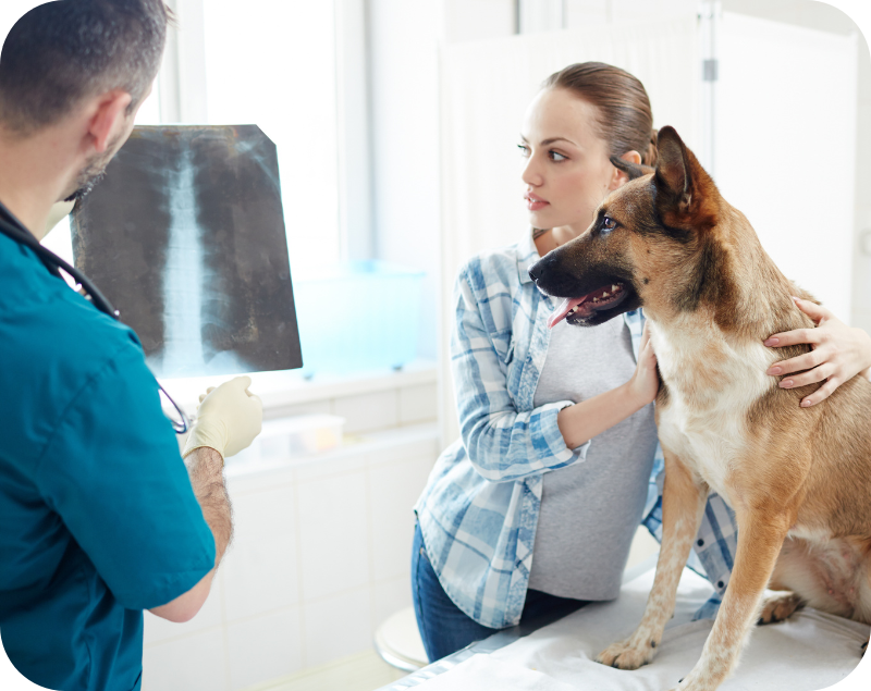 Diagnóstico por imagen